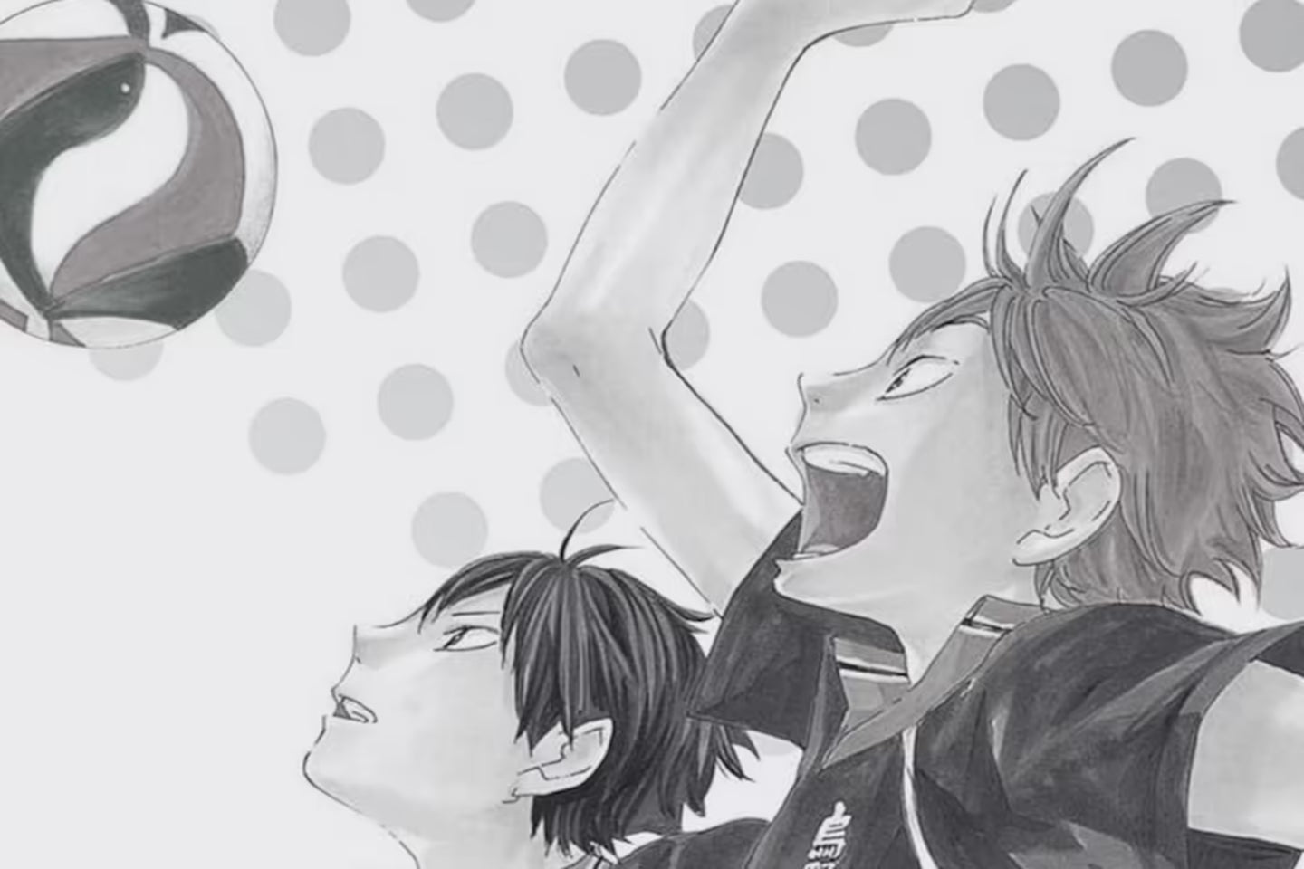 Image of Haikyu!!