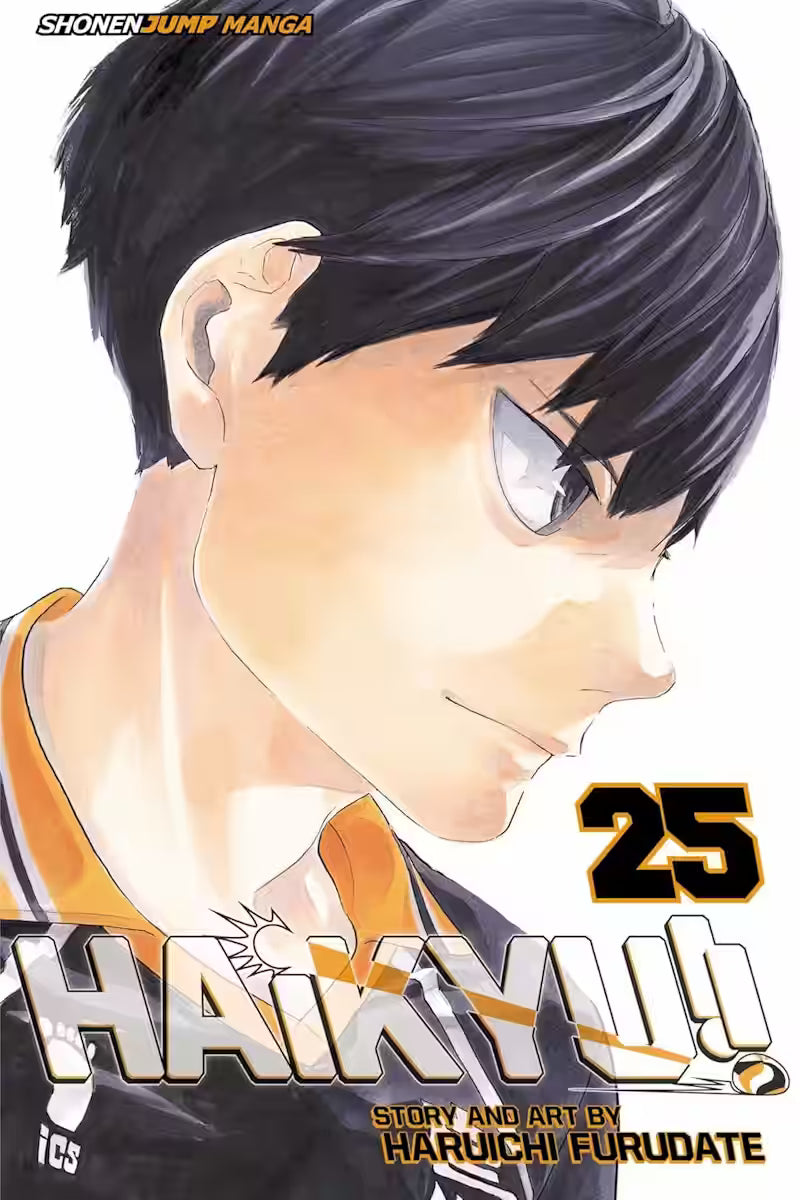 Haikyu!! Vol. 25 - Engelsk