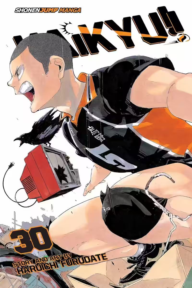 Haikyu!! Vol. 30 - Engelsk