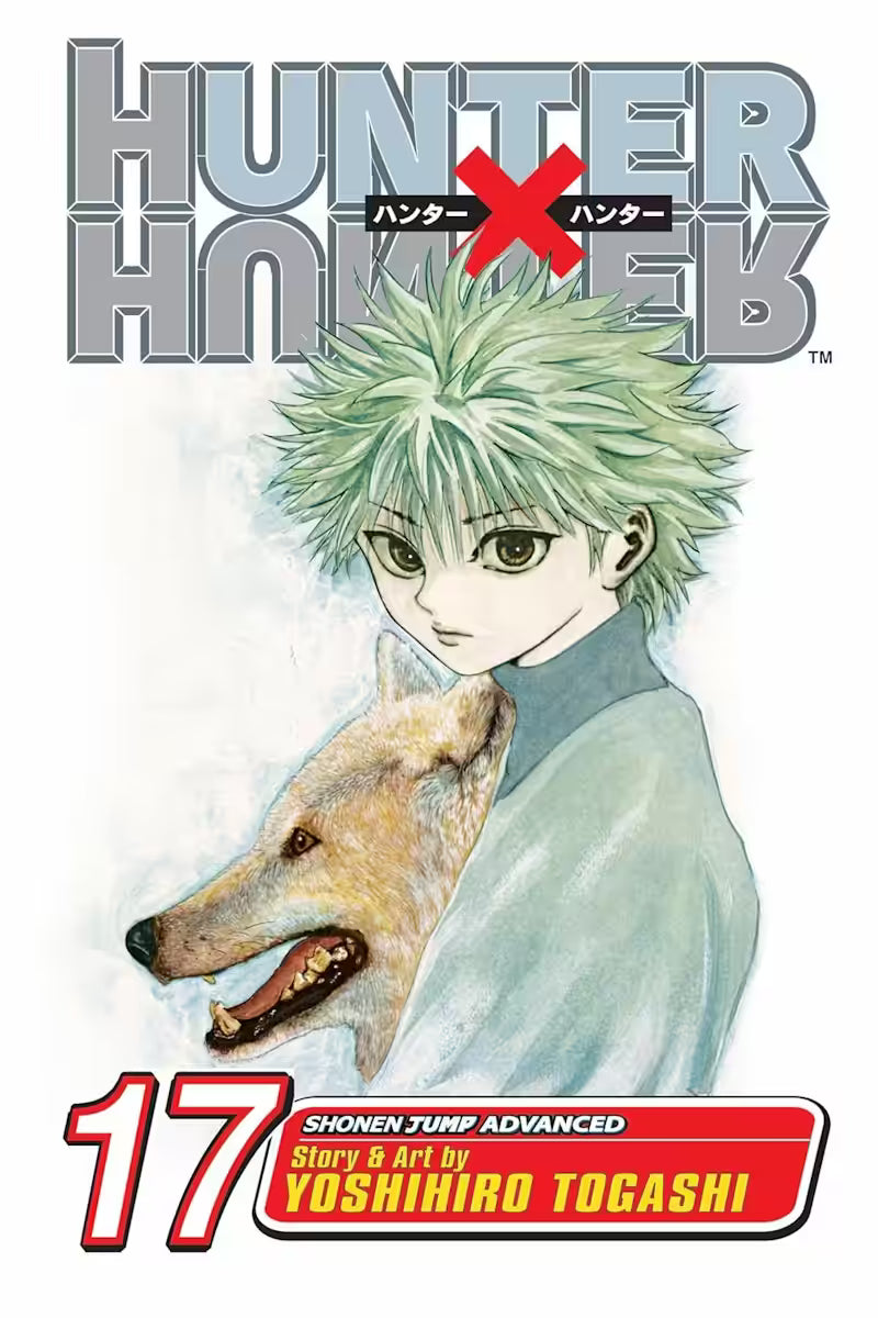 Hunter x Hunter Vol. 17 - Engelsk