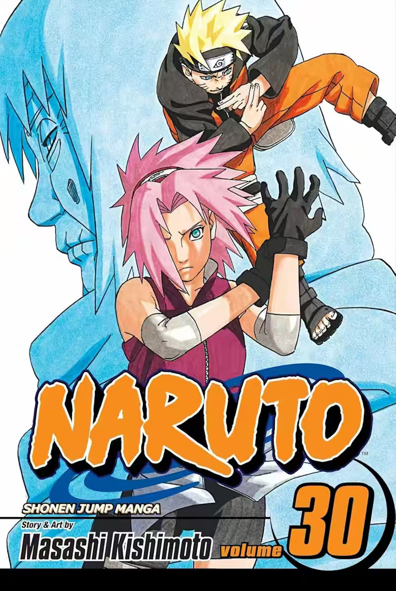 Naruto Vol. 30 - Engelsk