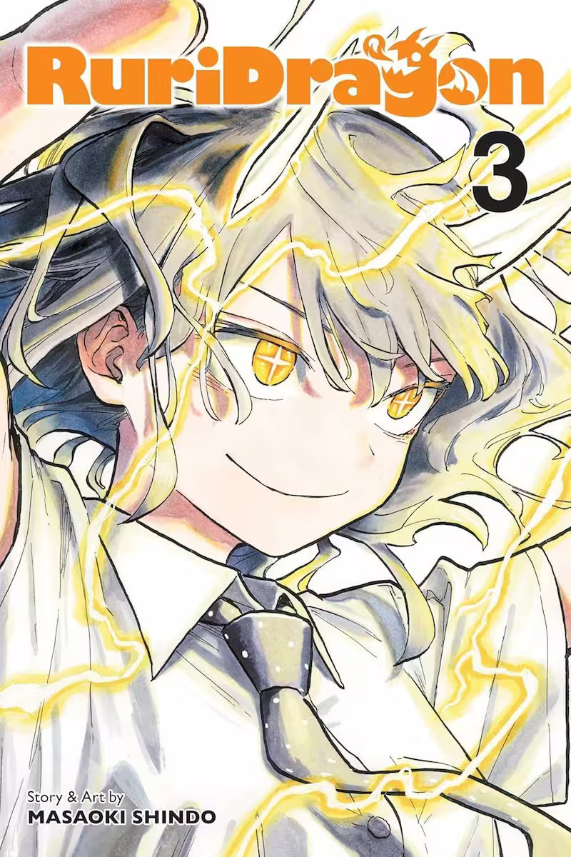 RuriDragon Vol. 3 - Engelsk